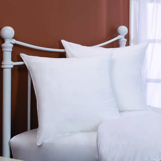 Euro Square Pillows 2 Pack Allydayi